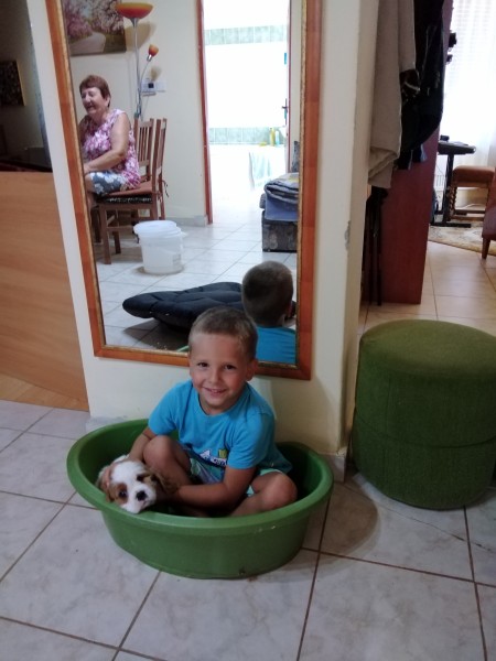 SamuH
